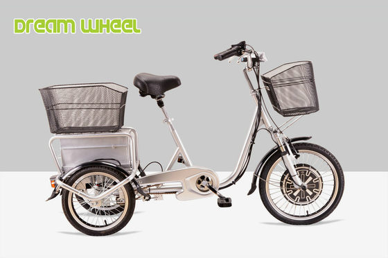 China 25km/H Pedal Assist Electric Trike 48V 350W Brushless Motor supplier