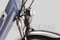 25km/H Ladies Electric Town Bike 36V 250W BAFANG Rear Motor supplier
