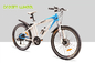 36V 350W Electric Mountain Bicycle , Aluminum Electric Mountain Bike 32km/H supplier