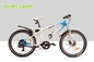 36V 350W Electric Mountain Bicycle , Aluminum Electric Mountain Bike 32km/H supplier