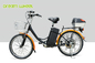 CE 24 Inch Pedal Assist Electric Bike , Womens Pedal Assist Bike 36V Brushless Motor V Brake supplier