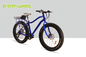Aluminum 26 Inch Mountain Beach Electric Bicycle Ebike Fat Tire For Adults supplier