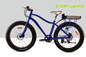 Aluminum 26 Inch Mountain Beach Electric Bicycle Ebike Fat Tire For Adults supplier