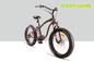48V 500W Electric Beach Cruiser Bikes , 26&quot; x 4.0 Fat Tire Beach Cruiser Electric Bike supplier