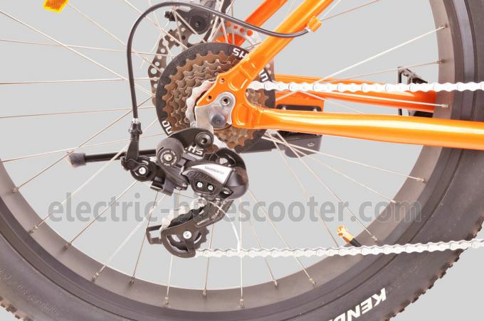 beach cruiser disc brake kit