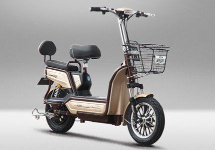 China Pedal Assisted Throttle Activated Electric Bike 48V 500W Two Wheels 38KM/H supplier
