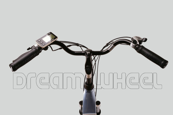 25km/H Ladies Electric Town Bike 36V 250W BAFANG Rear Motor supplier