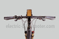 25km/H 350 Watt Electric Motorized Mountain Bike 700C MTB Tire supplier