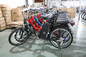 25km/H Pedal Assist Electric Bicycle 36V 250W For Adult And Child supplier