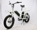 48V 750W 2022 Electric Fat Tire Bike child seat , Electric Fat Tire Bicycle double battery 90-110KM supplier