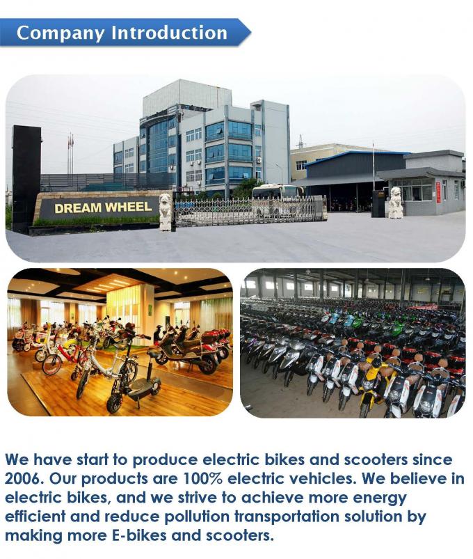 9 Speed Electric Beach Cruiser Bikes With Rear Carrier Lights MTB